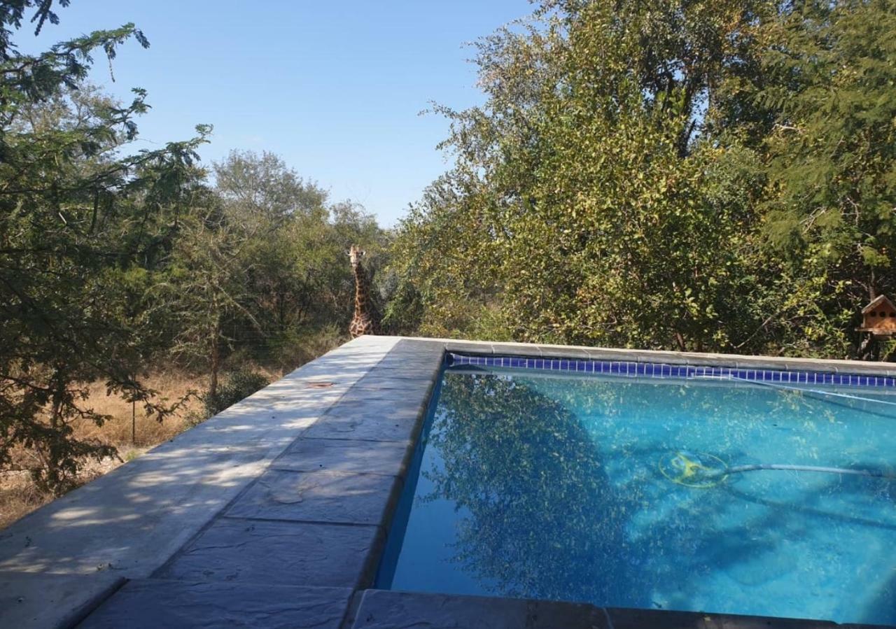 Lionsview Private Lodge - 6 Lions Marloth Park Eksteriør bilde