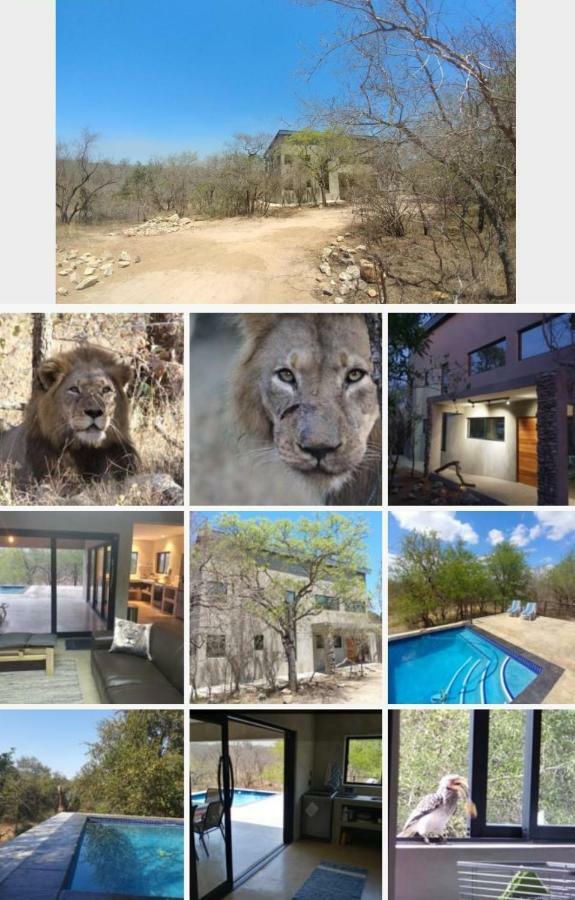Lionsview Private Lodge - 6 Lions Marloth Park Eksteriør bilde